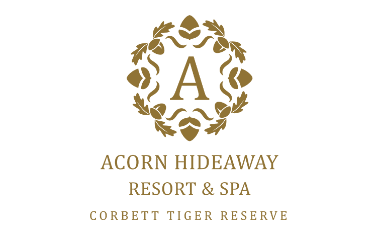 Aacorn Hideway Resort & Spa