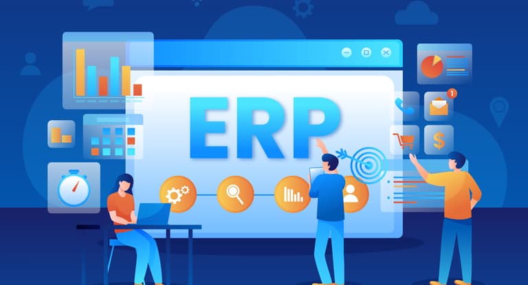ERP Development